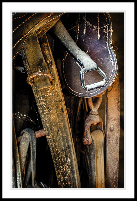 Leather straps hanging in an old stable.
